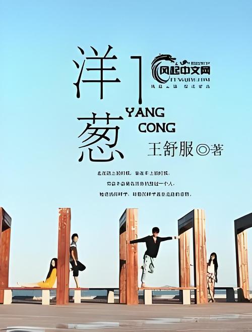 洋葱免费小说完美版