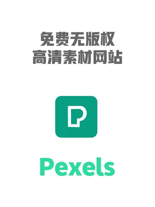 pexels素材网官网入口