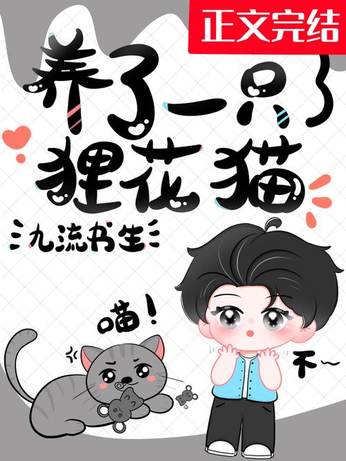 花猫小说最新版破解版永久免费