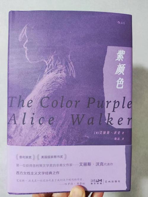 小说txt免费全本紫色版