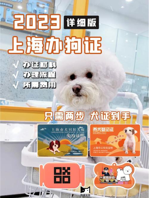 上海网上办狗证麦道辅助踢腿