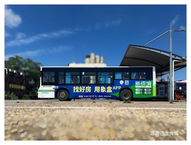 巴士之星无限金币蓝色版无广告免费