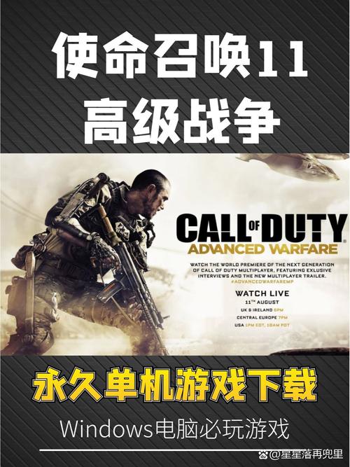 使命召唤11盗版汉化包加哪