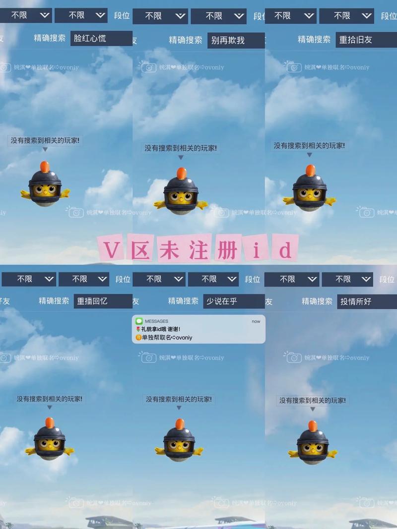 和平精英名字修改器在线