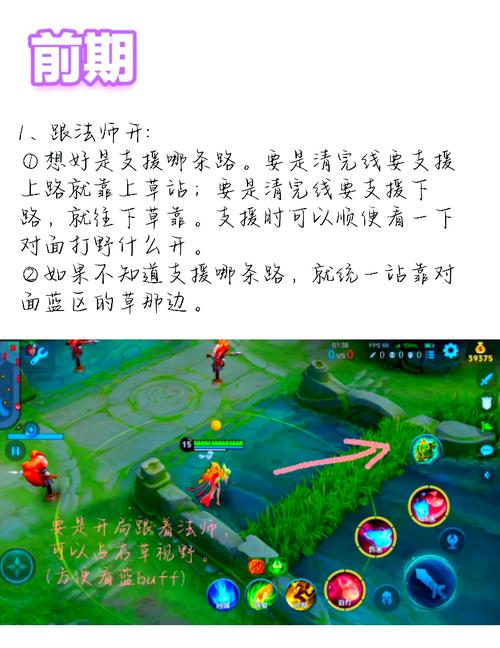 王者荣耀辅助开视野是什么意思无限版