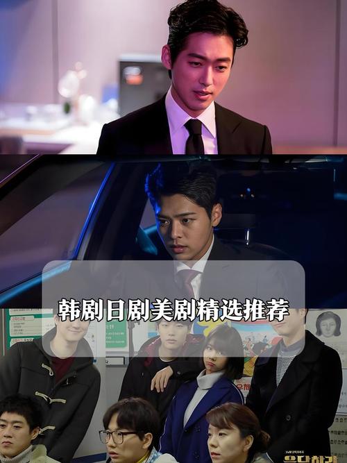 国产剧美剧日韩剧喜好占比中文字幕截图