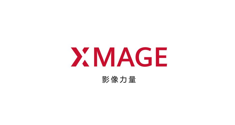 中国X站免费版