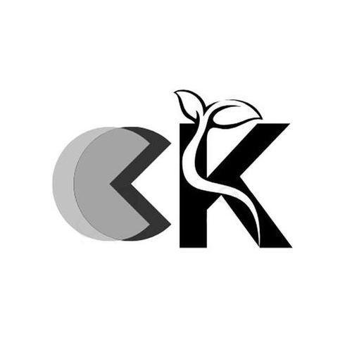 CKTK辅助