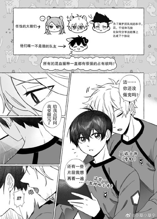 All动漫无广告