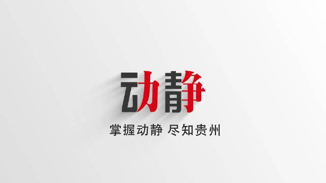 动静贵州6频道直播