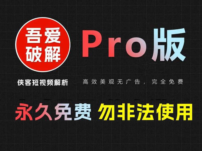 吾爱破解清浊视频永久截图