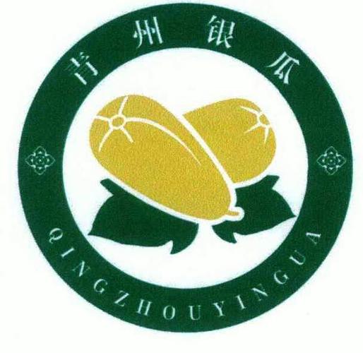 银瓜转