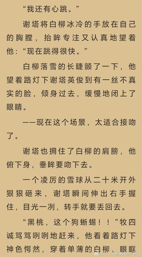 落疤罗恕小说免费TXT