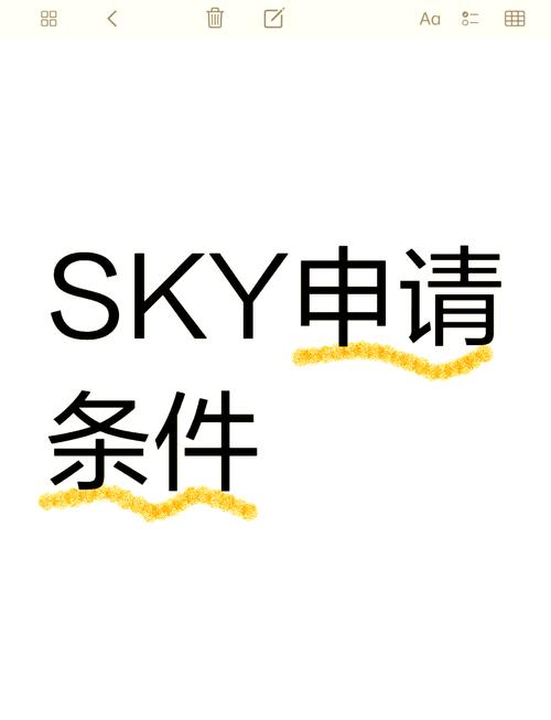 sky全物品免资格