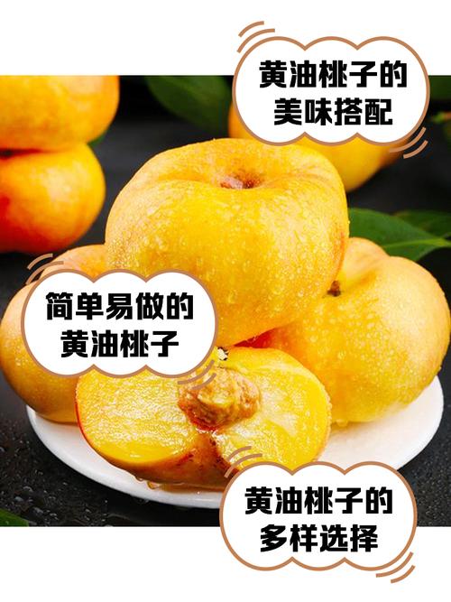 桃子1000款黄油大全纯净无广告版