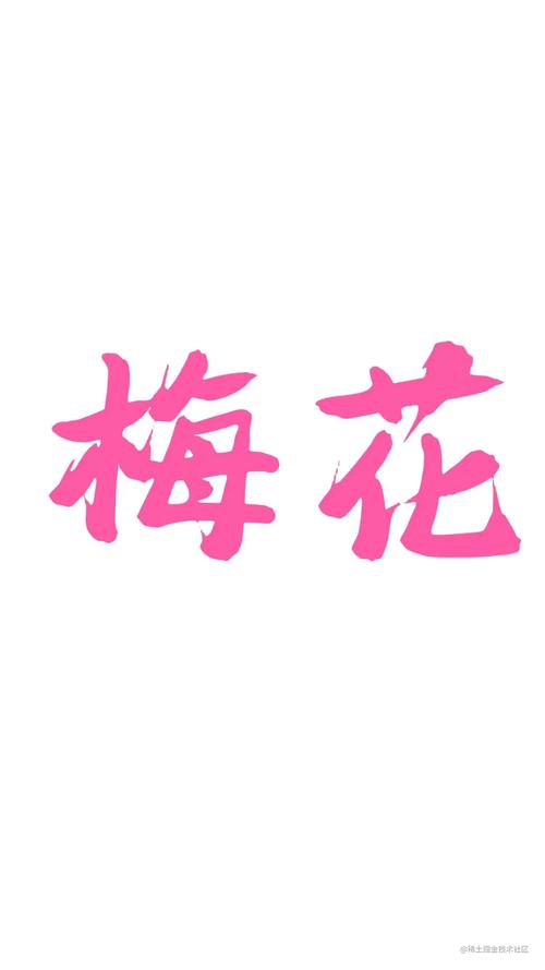 梅花无罪美化包