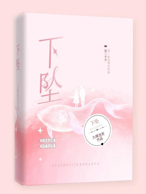 下坠小说