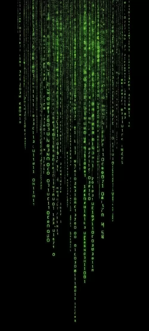 查dy绑手机号网站黑客