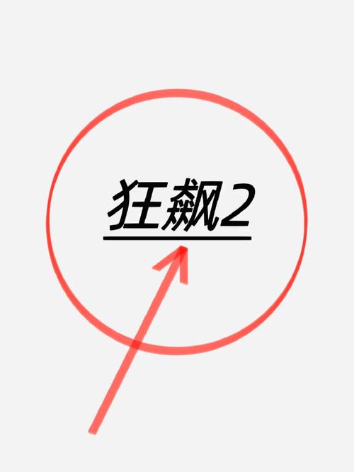 狂飙脚本设置