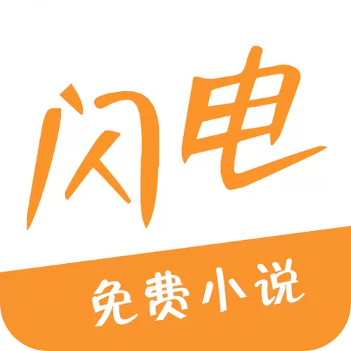 闪电小说