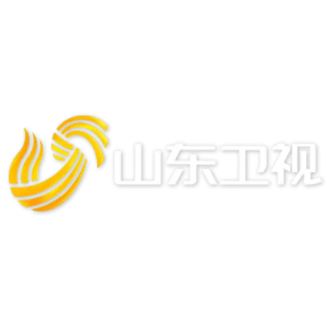 山东卫视节目回放视频