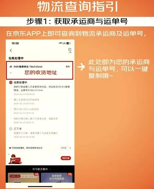 出了快递单号怎么查不到物流