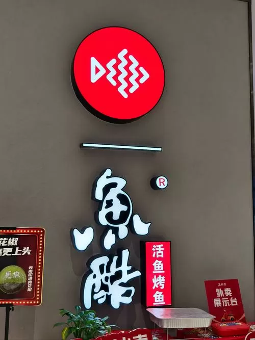 鱼酷是哪里的公司