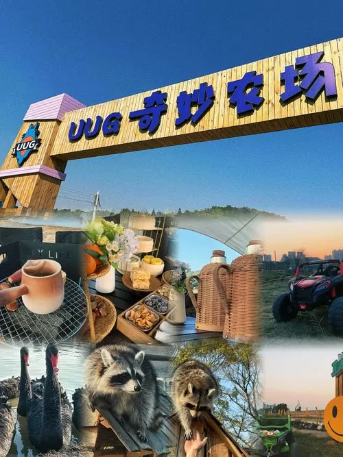 奇妙农场游戏