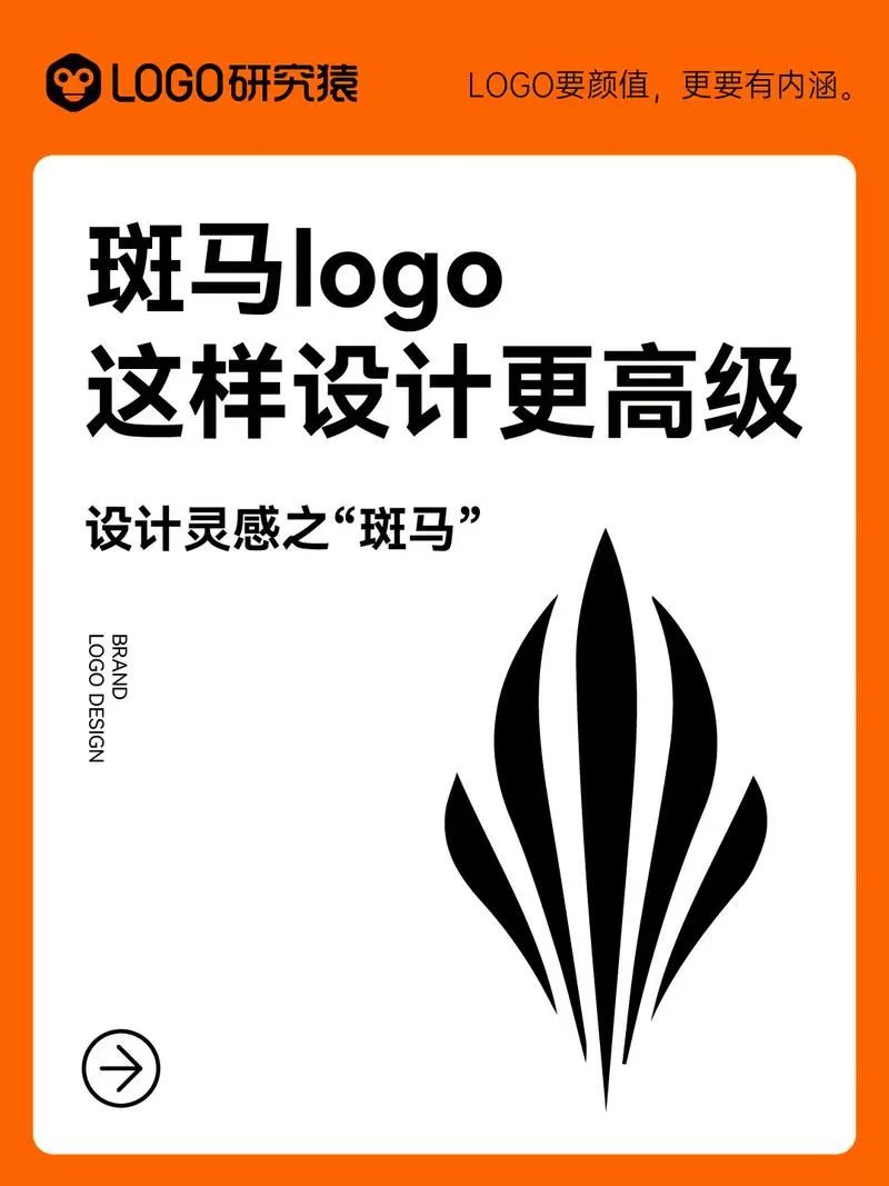 做了斑马会员的心得