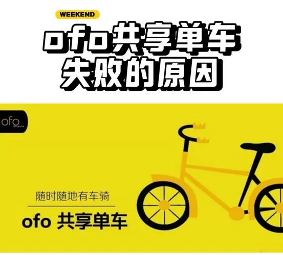 ofo小黄车2024