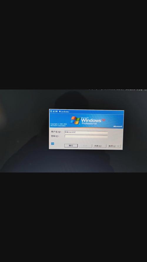 xplane手机版打开不了