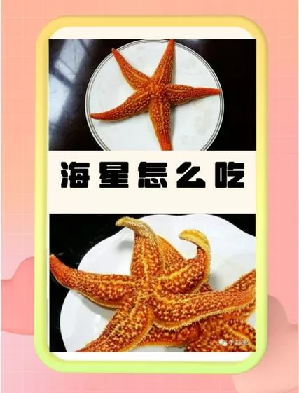 海星是不是吃里面的黑东西