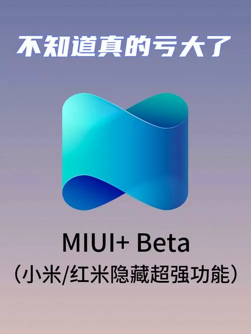 红米手机有投屏功能吗