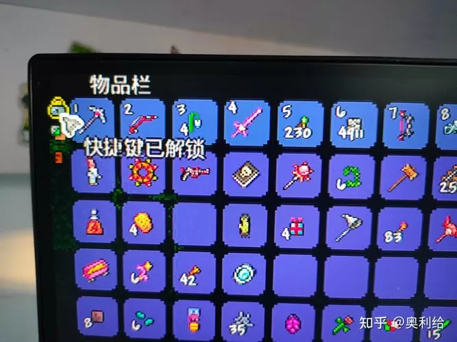 泰拉瑞亚鼠标切换不了物品