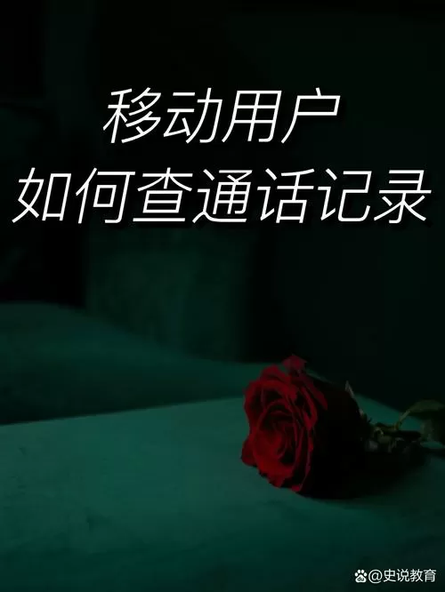 移动营业厅可以查通话记录吗