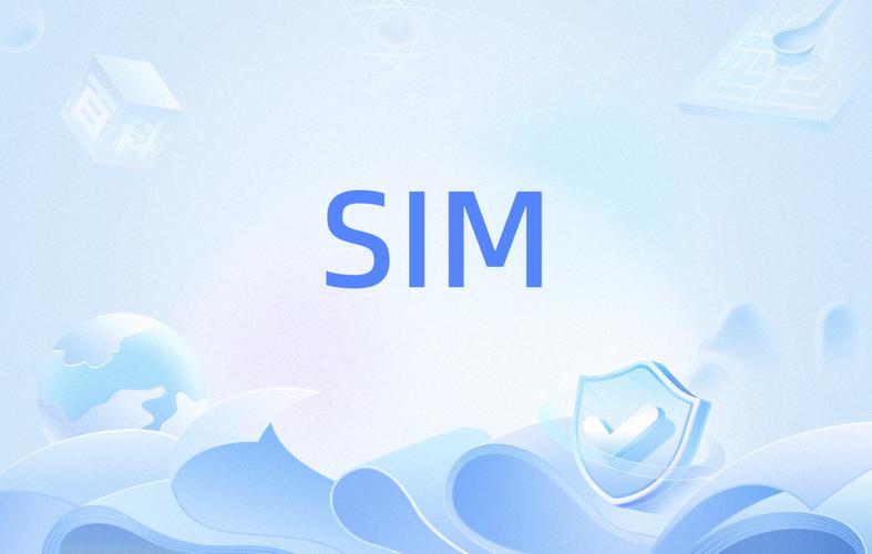 sim应用程序什么意思
