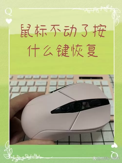 鼠标打不了字按哪个键恢复