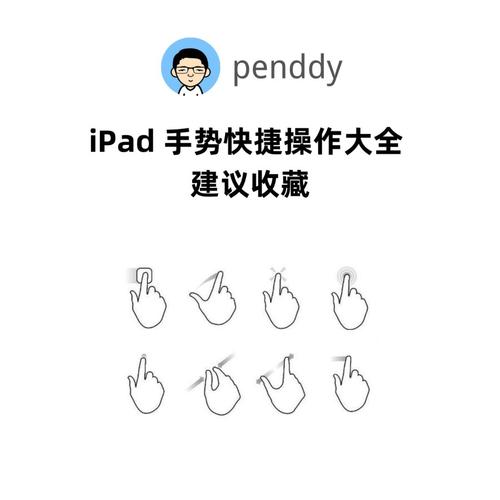 ipad手势设置在哪里