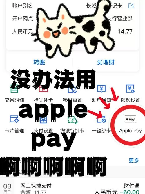 applepay被别人绑定如何注销