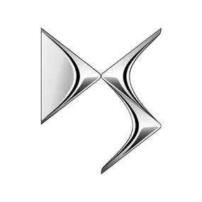 ds file drive