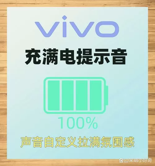 vivo手机满电能用多久