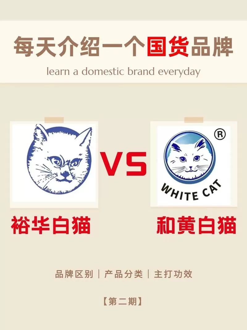 《白猫》训诫文截图