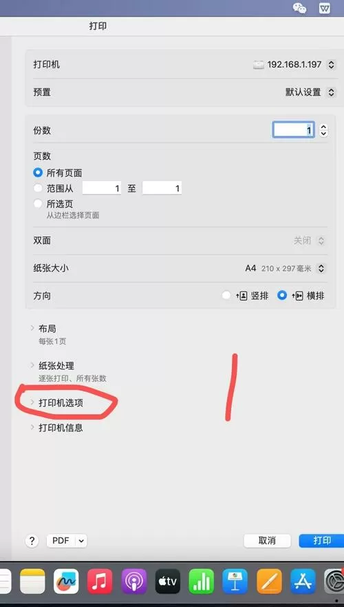 苹果笔记本打印机设置在哪里