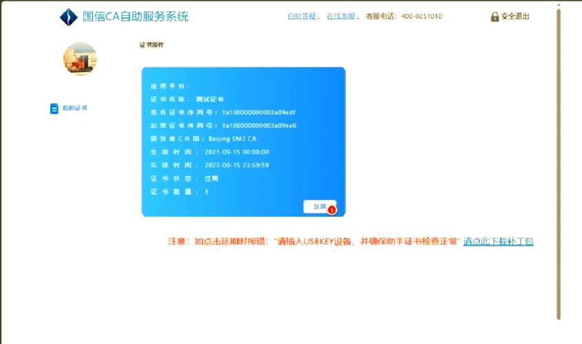 ca证书怎么登录不上去