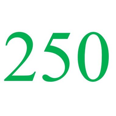 250k是多少钱