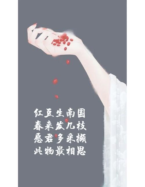 红豆相思汝可知全文免费阅读