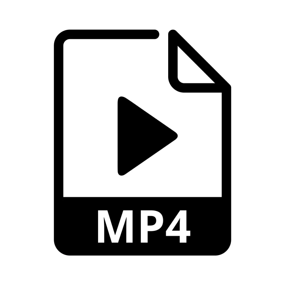 mp4格式