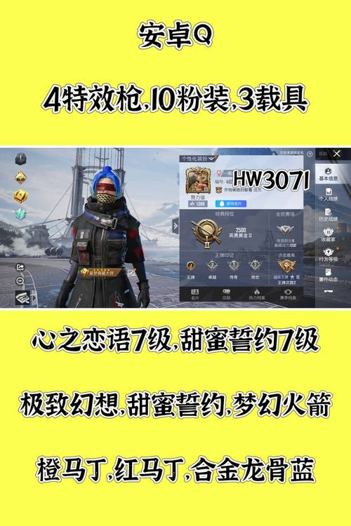 和平精英挂购买网站安卓