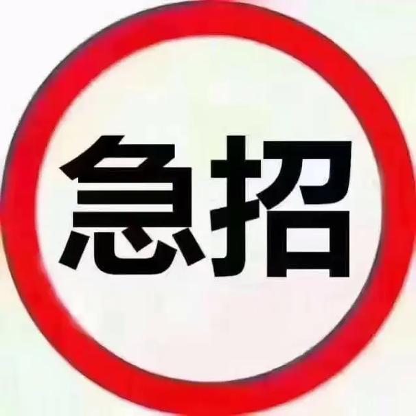 绥中急招一天一结图标