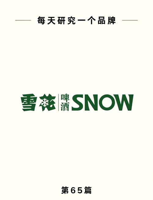 雪花助手app说明